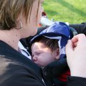 Baby Joey and Mom